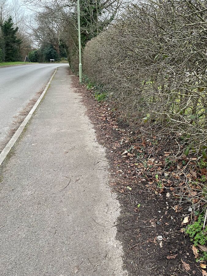 St Francis Verge Clearing  130225